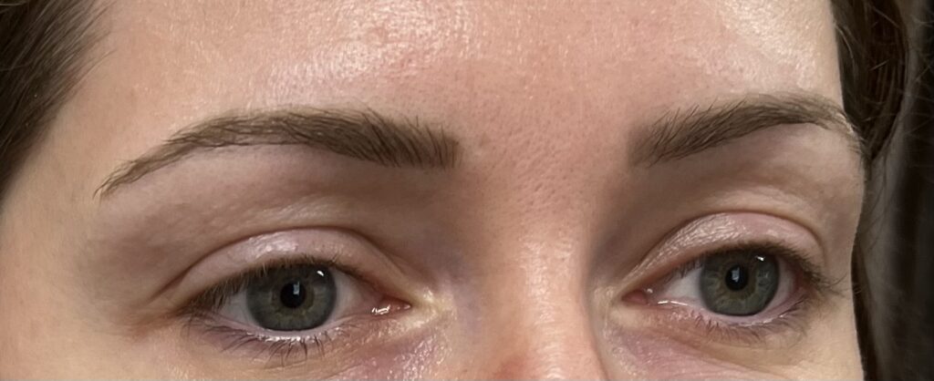 permanent makeup eyebrows tattoo eyebrows shaded micro bladed ombre 